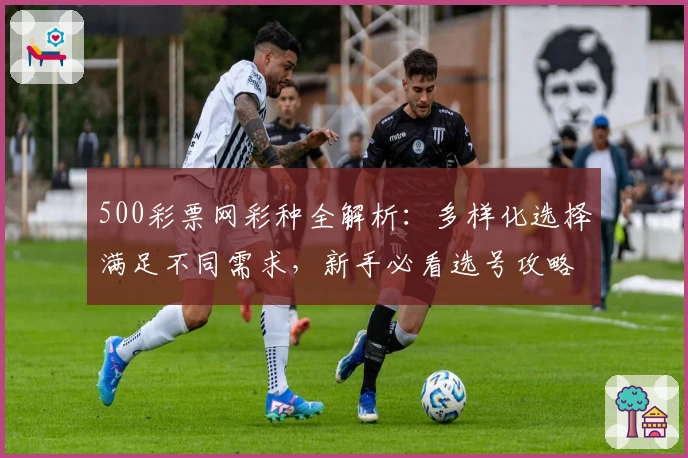 500彩票网彩种全解析：多样化选择满足不同需求，新手必看选号攻略